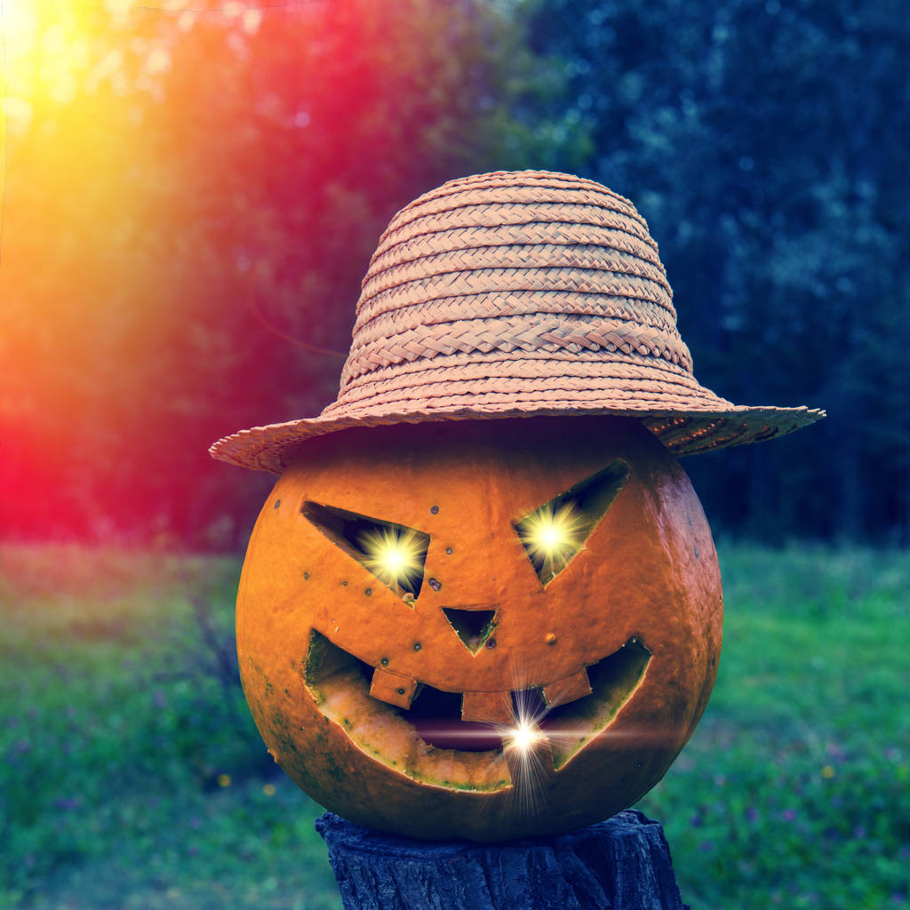 Calabaza de Halloween en un sombrero con un fondo natural borroso
 - Foto, imagen
