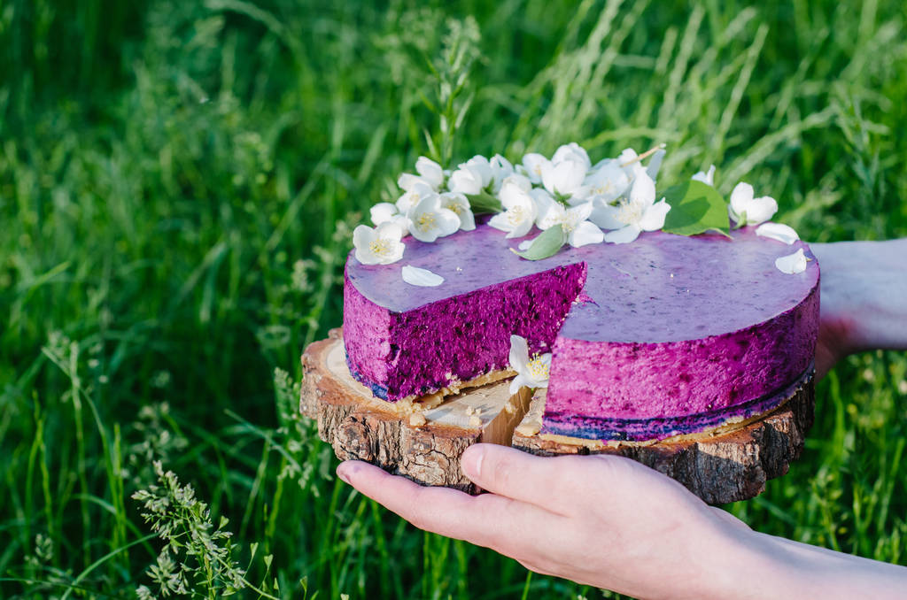 Cheesecake met bosbessen zonder bakken in de hand op een achtergrond van groen gras - Foto, afbeelding