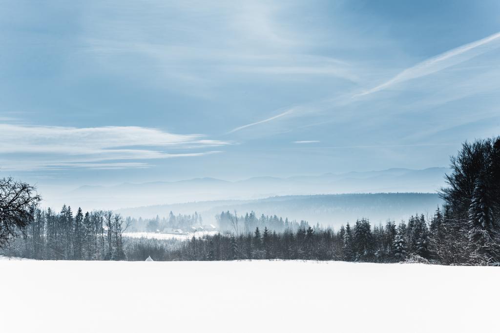 maisema luminen valkoinen karpaattien vuoret ja puut talvella
 - Valokuva, kuva