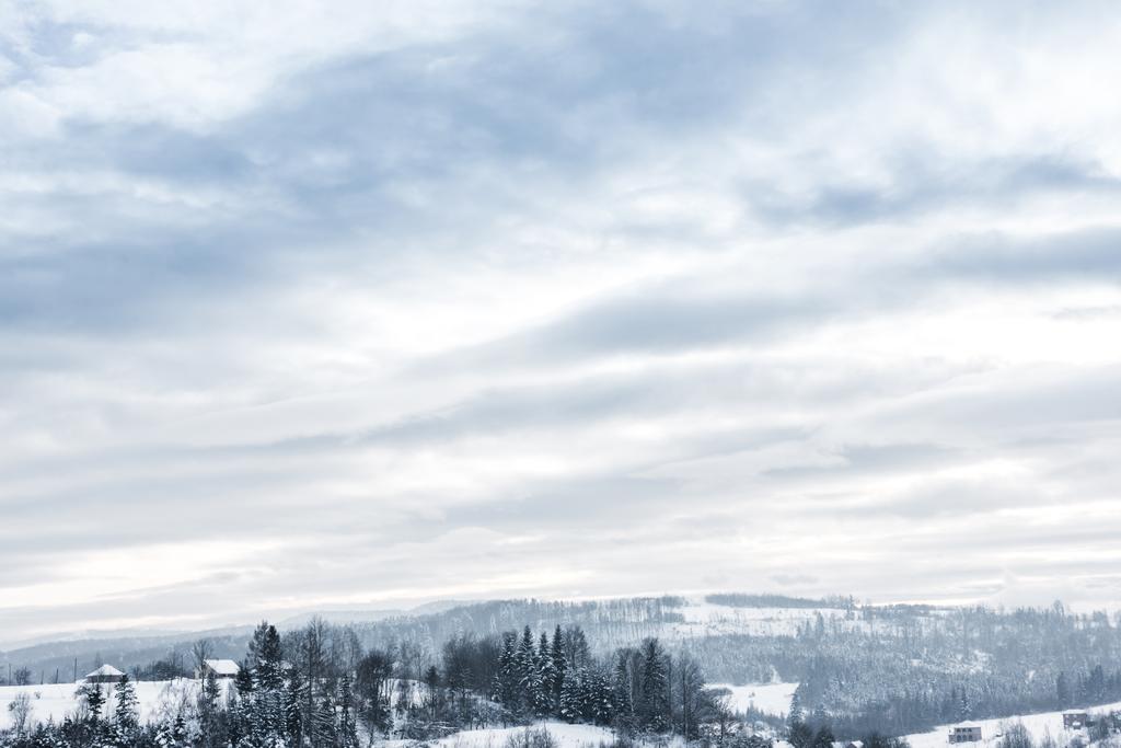 мальовничий вид на засніжені Карпати і хмарне небо взимку
  - Фото, зображення