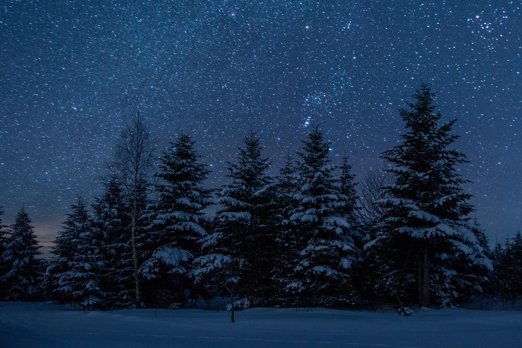 cielo oscuro lleno de estrellas brillantes en las montañas de los Cárpatos en el bosque de invierno por la noche
 - Foto, imagen
