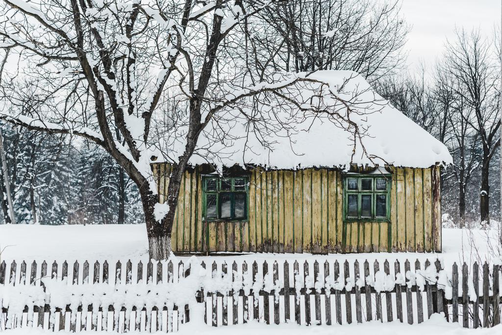 vanha puinen talo, jossa aita puiden keskellä talvella
 - Valokuva, kuva