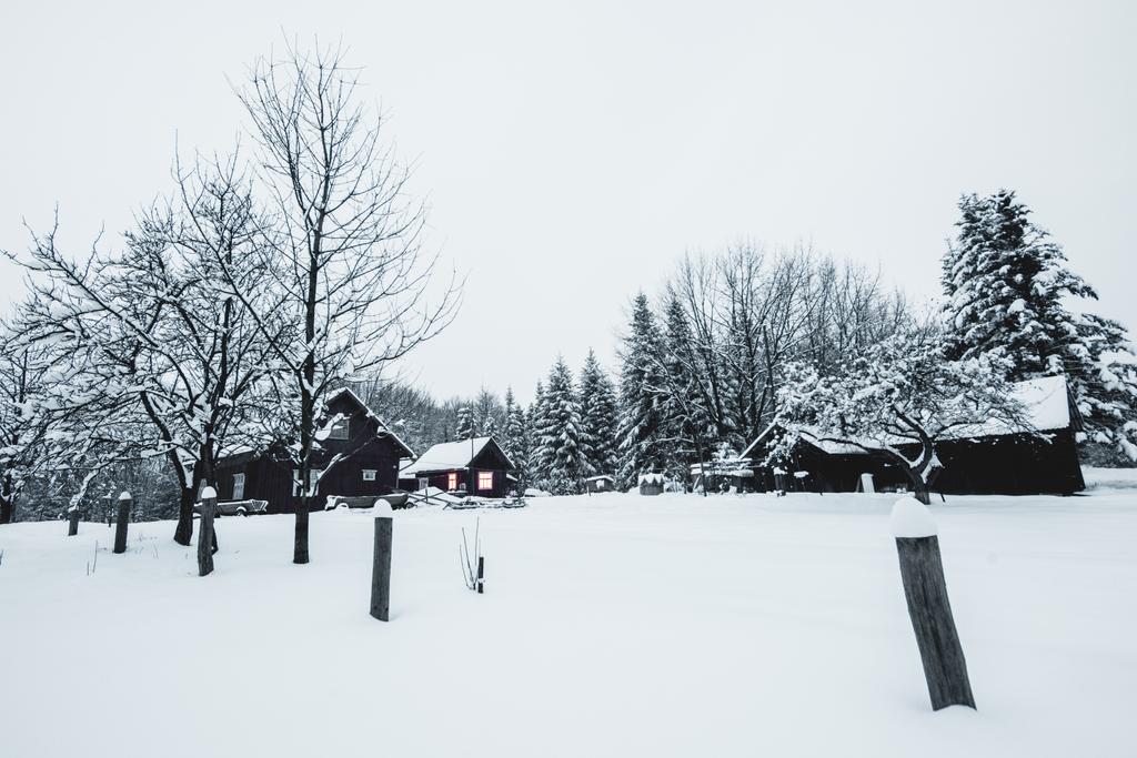 高齢者木造住宅カルパティア山脈の雪に覆われた勝利村 - 写真・画像
