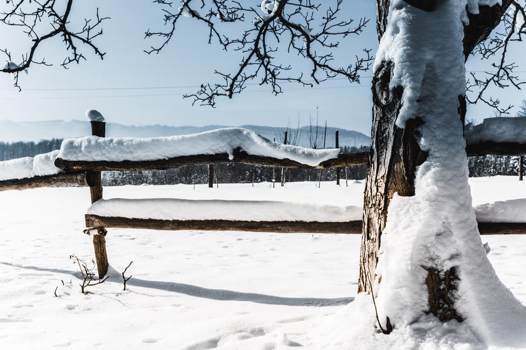 valla de madera cubierta de nieve y carámbanos en las montañas de los Cárpatos
 - Foto, Imagen