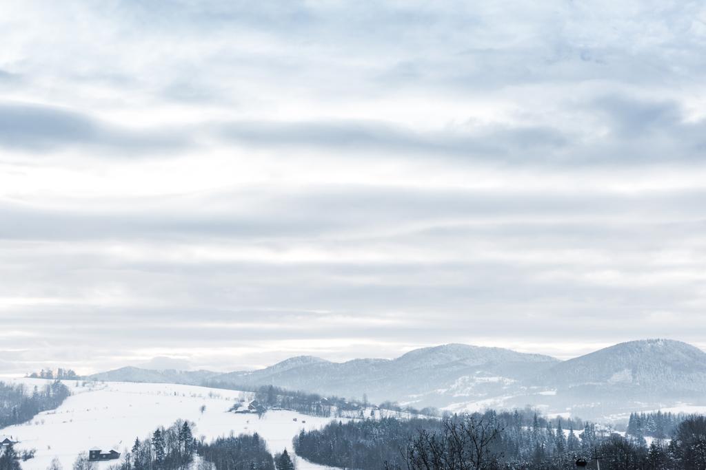 Karpaattien vuorten maisema lumen peitossa pilvistä taivasta ja puita
  - Valokuva, kuva