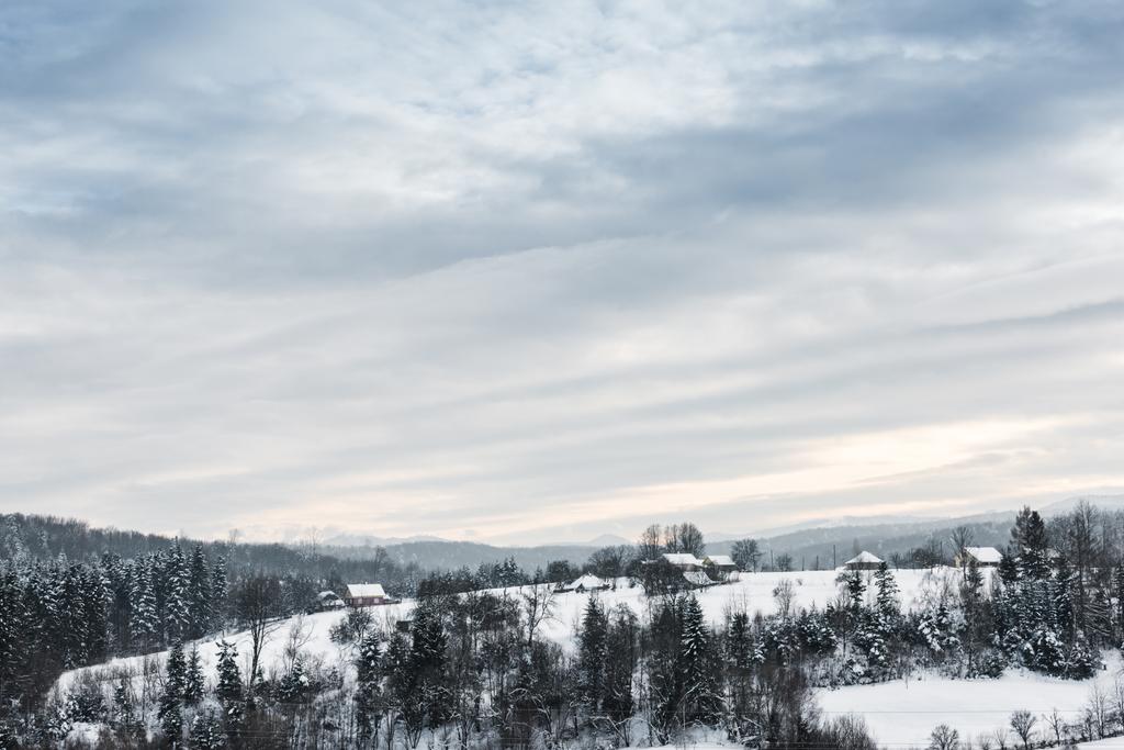 paesaggio di montagne carpatiche ricoperte di neve con cielo nuvoloso e alberi
  - Foto, immagini
