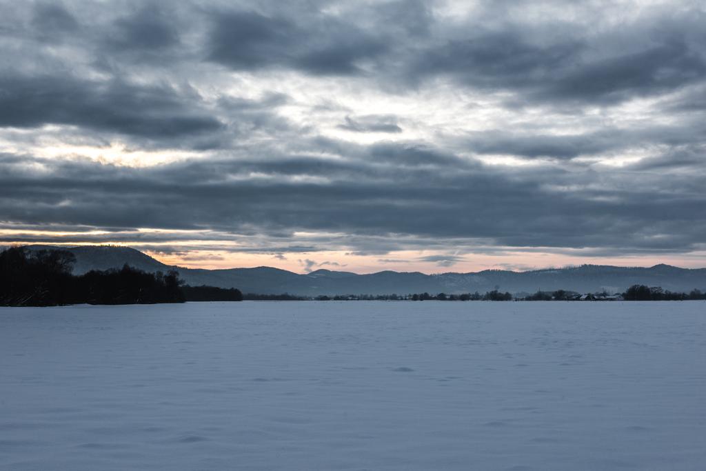 Landschaft der Karpaten mit Schnee bedeckt mit bewölktem Himmel und Bäumen in der Morgendämmerung  - Foto, Bild
