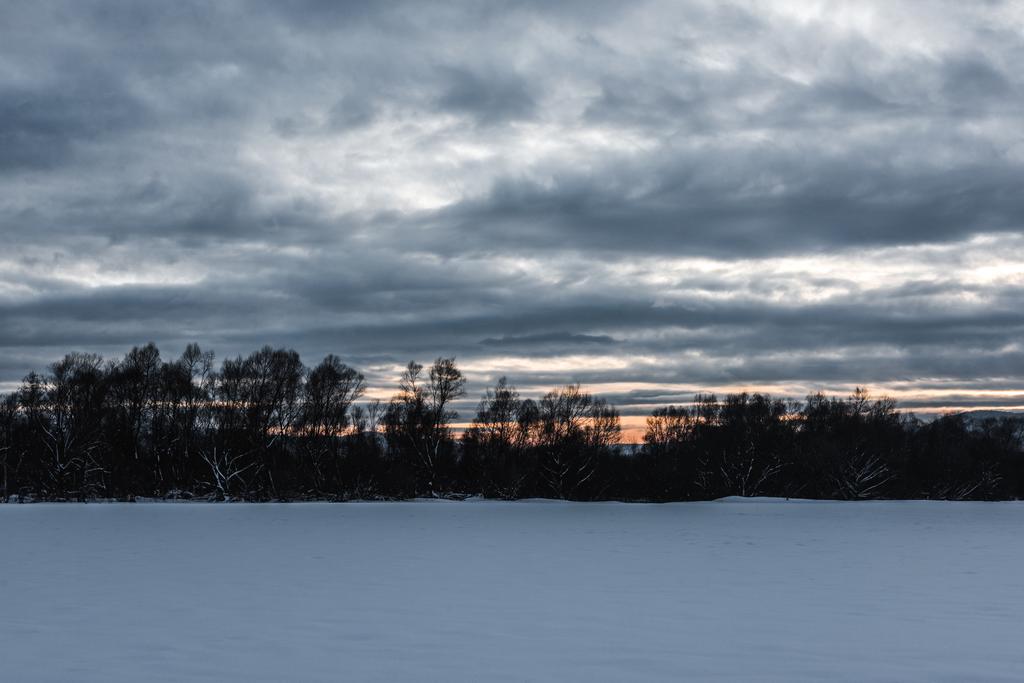 táj a Kárpátok hóval felhős ég és a fák Hajnal  - Fotó, kép