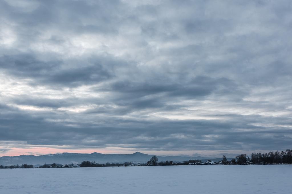 paisaje de montañas carpáticas cubiertas de nieve con cielo nublado y árboles al amanecer
   - Foto, imagen