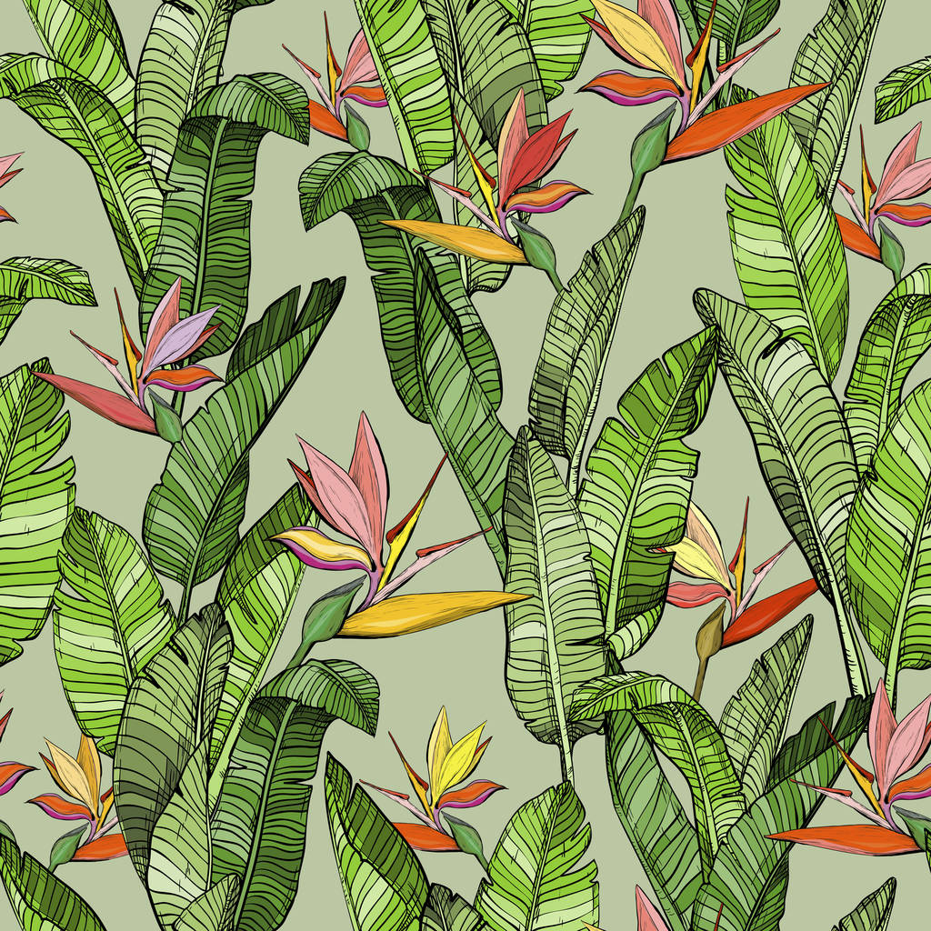 Naadloze patroon met Strelitzia Bird of Paradise bloemen - Vector, afbeelding