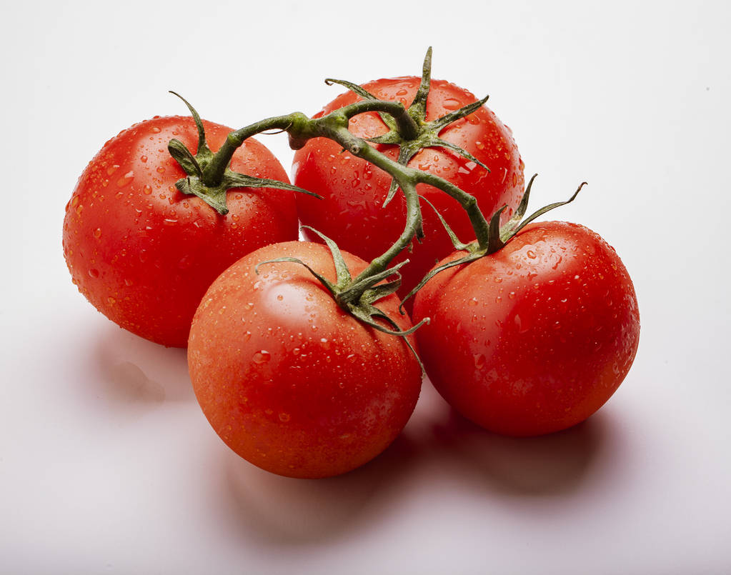 Мокрі соковиті помідори на лозі
 - Фото, зображення
