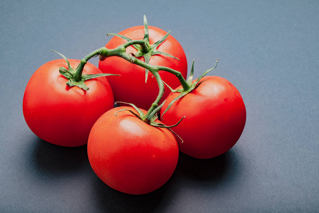 vier Tomaten am Weinstock - Foto, Bild
