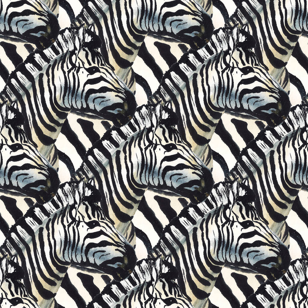 стадо зебр
 - Фото, зображення