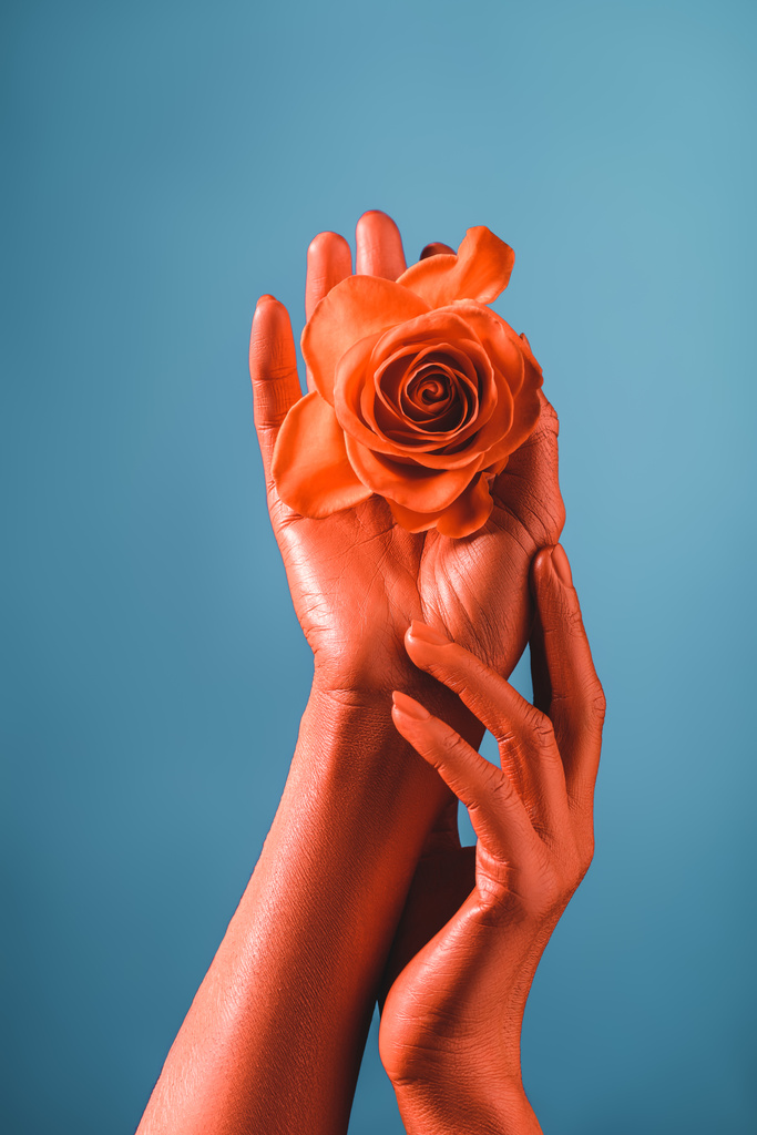 vista parcial de la mujer con las manos de color coral sosteniendo rosa de coral, concepto de color de 2019
 - Foto, Imagen