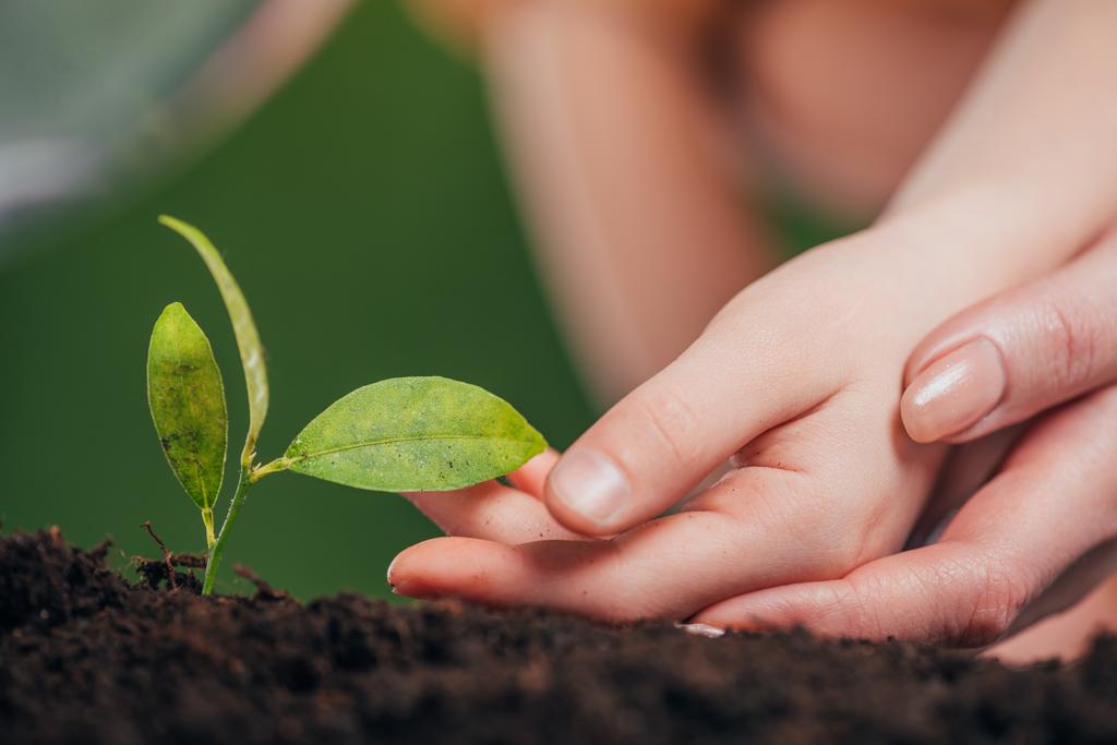 selective focus of woman and kid hands near young green plant growing in ground on blurred background, earth day concept - Photo, Image