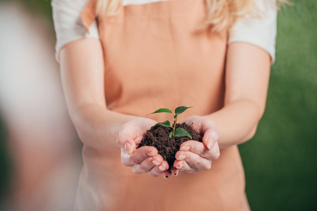 вибірковий фокус жінки, що тримає молоду зелену рослину на розмитому фоні, концепція Дня Землі
 - Фото, зображення