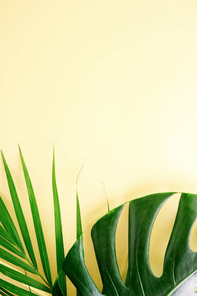 Trópusi makett: palm és monstera zöld levelek, színes, sárga háttér előtt. Utazási koncepció. Szöveg tér - Fotó, kép