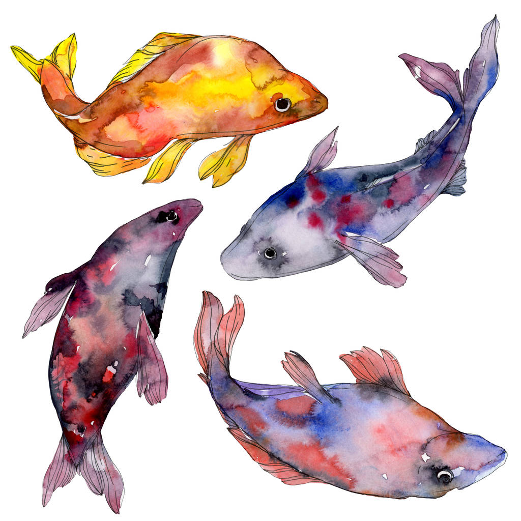 Spotted aquatic underwater colorful tropical fish set. Red sea and exotic fishes inside. Watercolor background set. Watercolour drawing fashion aquarelle. Isolated fish illustration element. - Photo, Image
