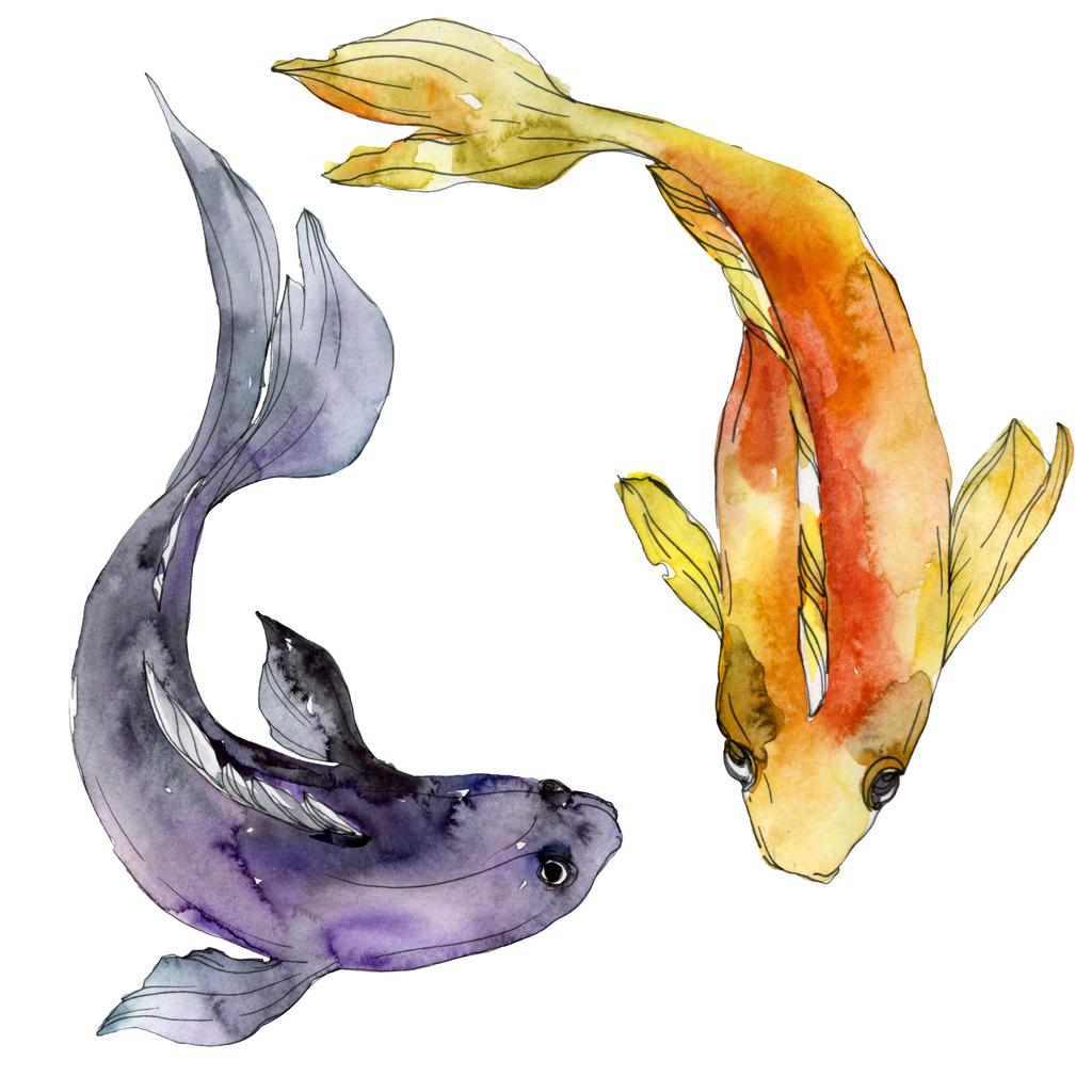 Sada vodní podvodní barevné tropické ryby. Rudé moře a exotické ryby uvnitř: zlaté rybky. Sada akvarel zázemí. Akvarel výkresu módní aquarelle. Prvek ilustrace izolované zlaté rybky. - Fotografie, Obrázek