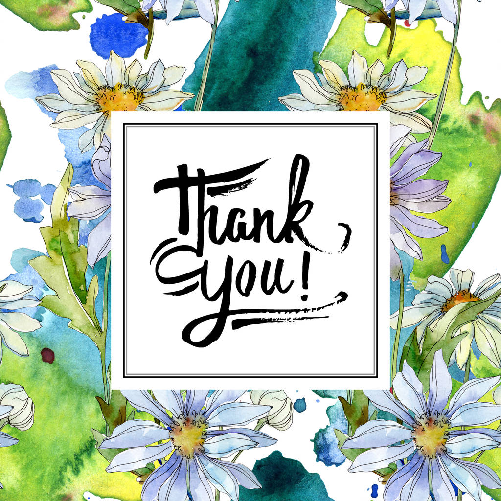 chamomiles és a százszorszépek a zöld levelek akvarell illusztráció beállítása, test határ dísz a betűkkel köszönöm - Fotó, kép