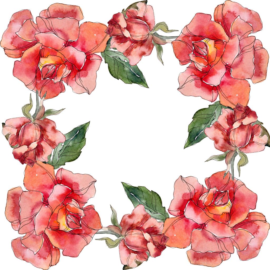 Vörös Rózsa virág botanikai virág. Vad tavaszi levél vadvirág elszigetelt. Akvarell háttér illusztráció készlet. Akvarell rajz divat aquarelle elszigetelt. Test határ Dísz tér. - Fotó, kép