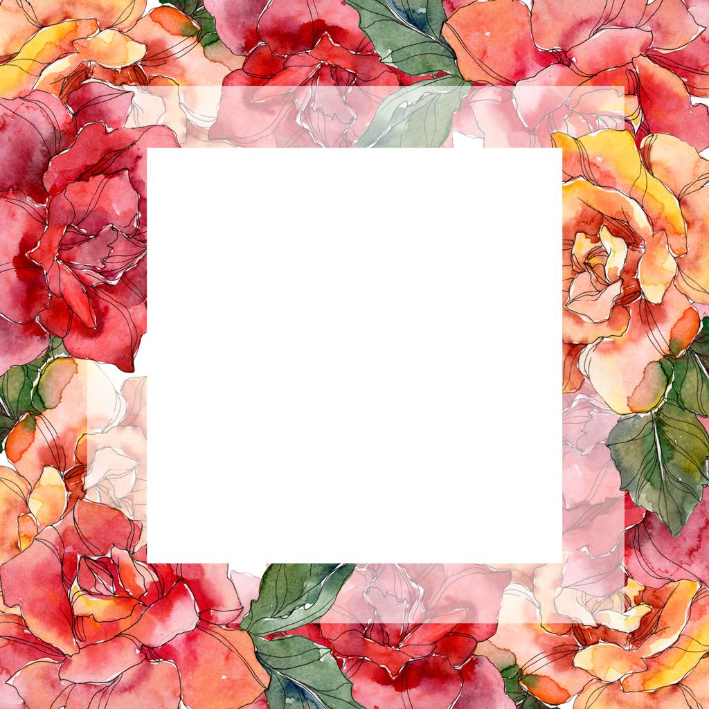 Κόκκινο και πορτοκαλί floral βοτανικό λουλούδι τριαντάφυλλο. Άγρια άνοιξη φύλλων wildflower απομονωμένη. Ακουαρέλα φόντο εικόνα σύνολο. Ακουαρέλα σχεδίασης μόδας aquarelle απομονωμένη. Πλαίσιο συνόρων στολίδι τετράγωνο. - Φωτογραφία, εικόνα