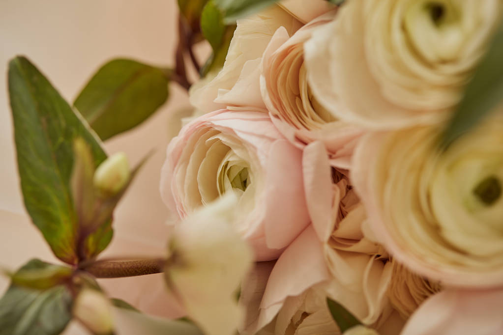 白いシャクヤクの花束のクローズ アップ  - 写真・画像