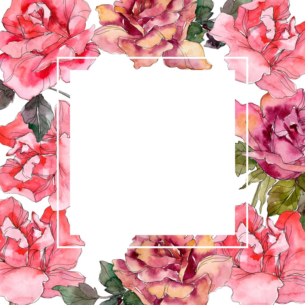 Pink rose floral botanical flower. Wild spring leaf wildflower isolated. Watercolor background illustration set. Watercolour drawing fashion aquarelle isolated. Frame border ornament square. - Photo, Image
