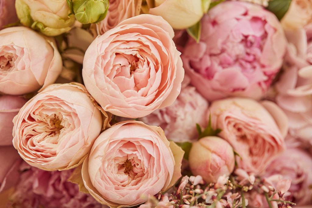 gros plan du bouquet de pivoines roses
  - Photo, image
