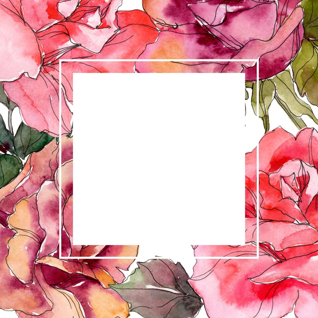 ピンクのバラ花植物花。野生春葉のワイルドフラワーが分離されました。水彩画背景イラスト セット。水彩描画のファッション aquarelle 分離します。フレーム枠飾りスクエア. - 写真・画像