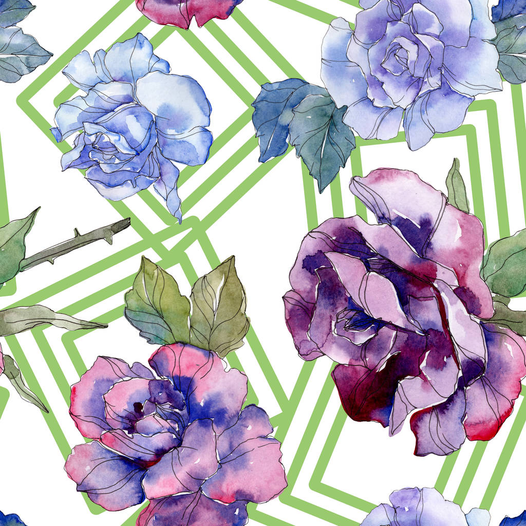 Niebieski i fioletowy róż botanicznych kwiat kwiatowy. Wiosna dzikiego liść na białym tle. Akwarela, ilustracja zestaw. Rysunek aquarelle akwarela. Bezszwowe tło wzór. Tkanina tapeta tekstura wydruku. - Zdjęcie, obraz