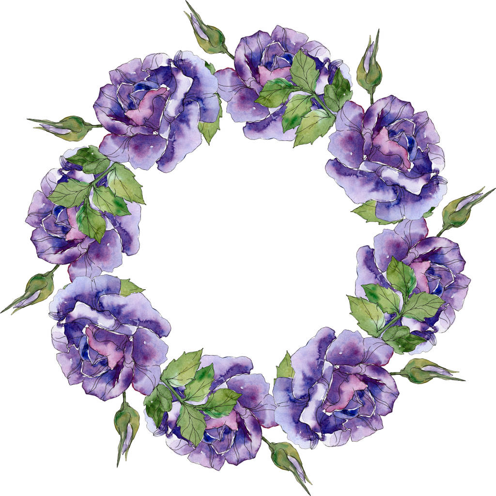 Foto e imagen de stock sin royalties de Rosa Violeta Flores Botánicas  Florales. Flor Silvestre