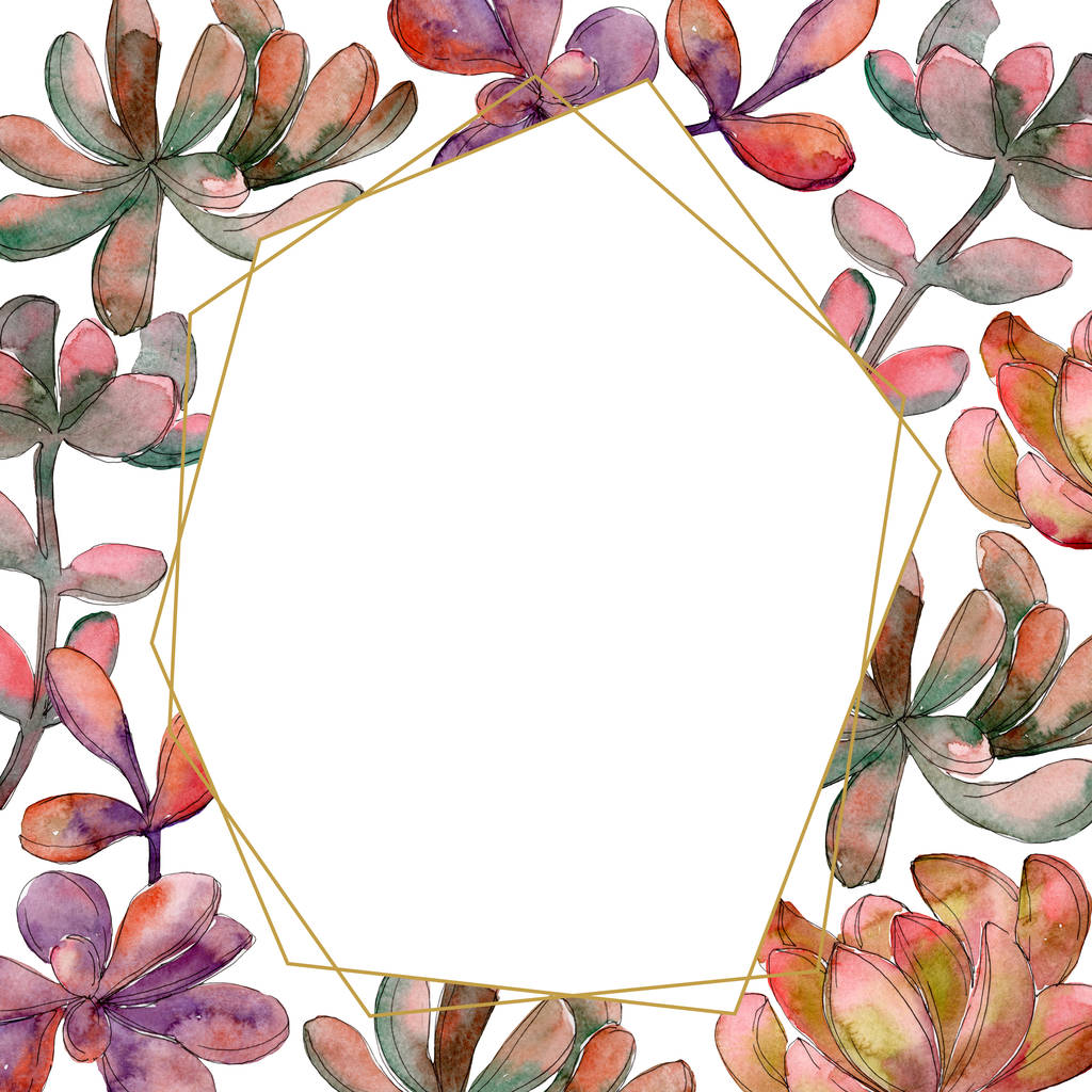 Jungle succulent floral botanical flower. Wild spring leaf wildflower isolated. Watercolor background illustration set. Watercolour drawing fashion aquarelle isolated. Frame border ornament square. - Photo, Image