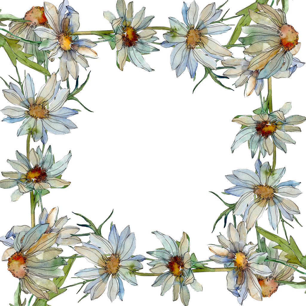 Kamille mit grünen Blättern Aquarell-Illustrationsset, Rahmen-Ornament mit Kopierraum - Foto, Bild