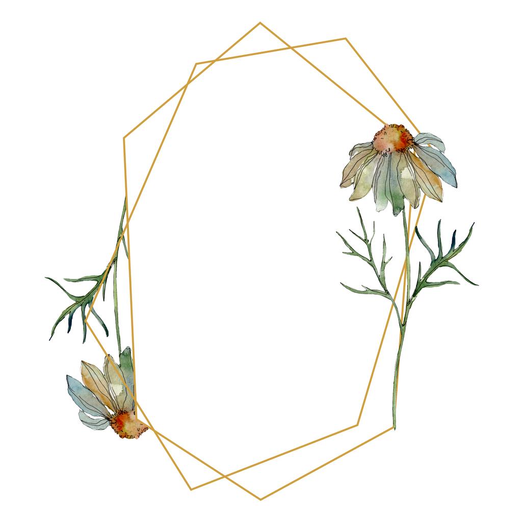 ромашки с зелеными листьями акварелью набор иллюстраций, рамка границы украшения с копировальным пространством
 - Фото, изображение