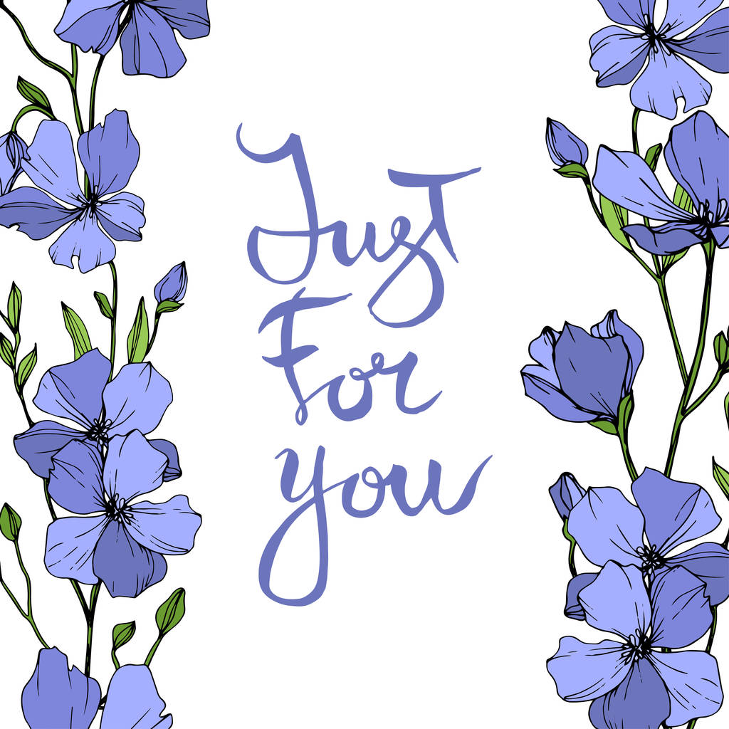 Vector Blue Flax fleur botanique florale. Feuille sauvage de printemps fleur sauvage isolée. Encre gravée. Cadre bordure ornement carré
. - Vecteur, image