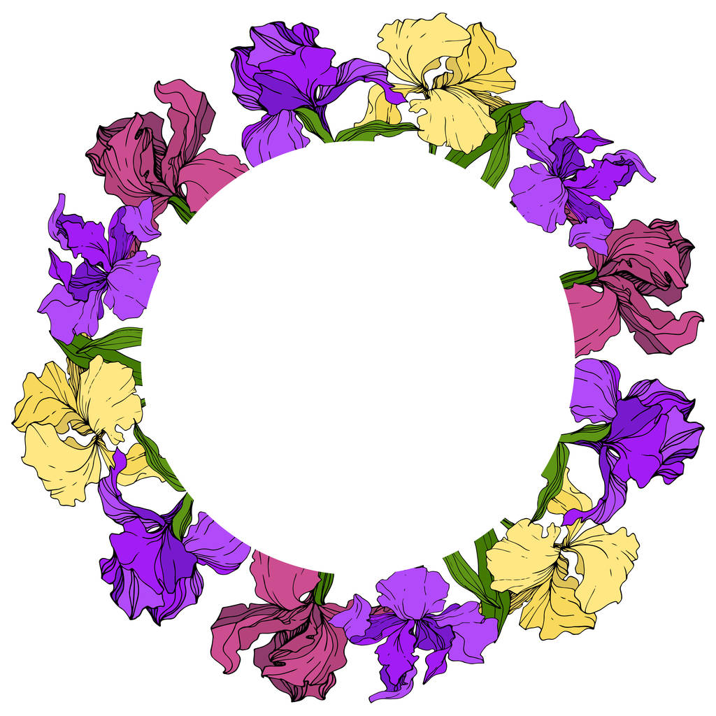 Vettore Viola, giallo e marrone Iris fiore botanico floreale. Fiore selvatico primaverile isolato. Incisione a inchiostro art. Quadrato ornamento bordo cornice
. - Vettoriali, immagini