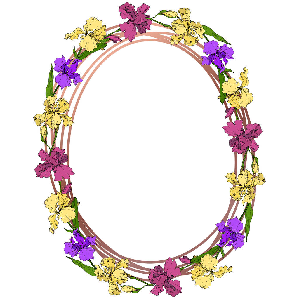 Vektor lila, sárga és bordó Irisz floral botanikus. Vad tavaszi levél vadvirág elszigetelt. Vésett tinta art. Test határ Dísz tér. - Vektor, kép