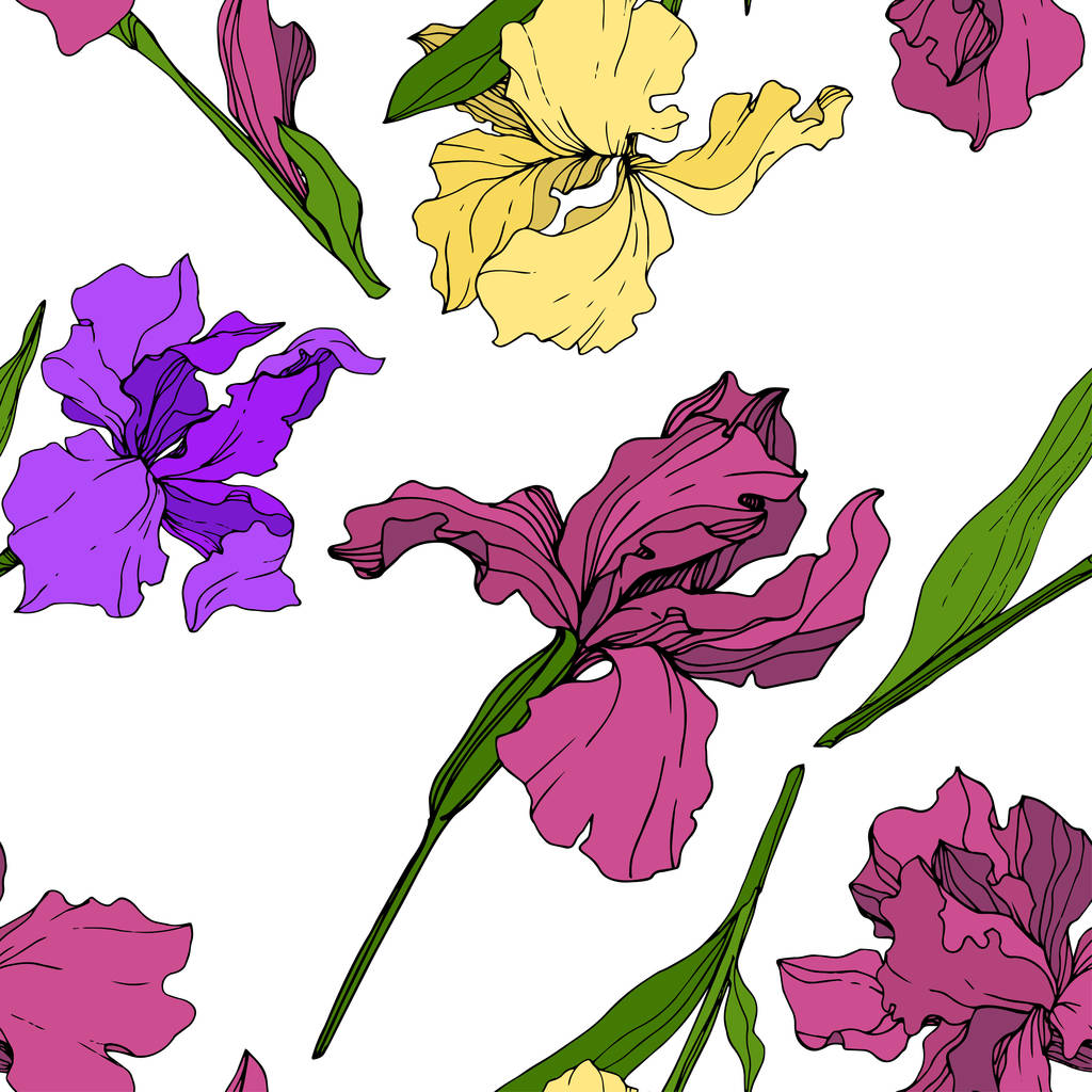 Vektor sárga, lila, és bordó Irisz floral botanikus. Vad tavaszi levél vadvirág elszigetelt. Vésett tinta art. Varratmentes háttérben minta. Anyagot a nyomtatási textúrát. - Vektor, kép