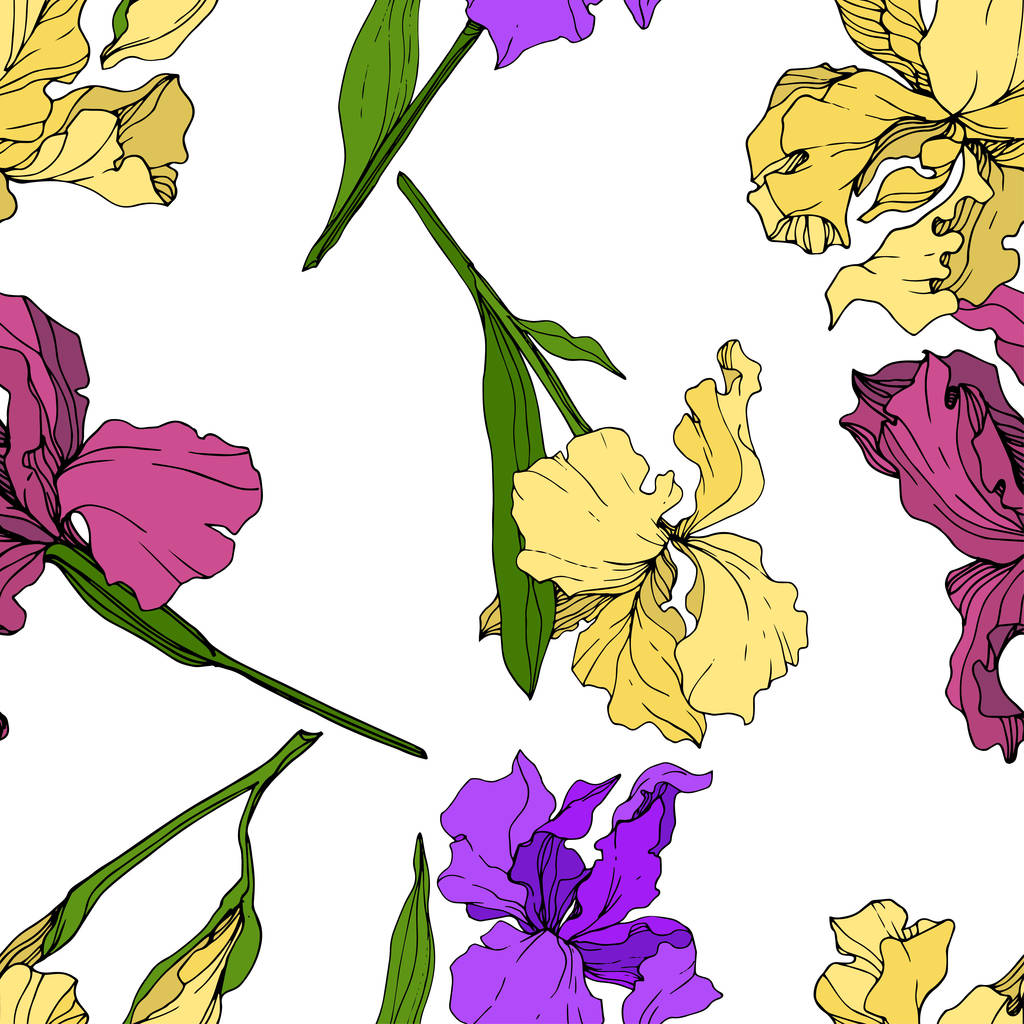 Vektorové žlutá, fialová a hnědý Iris květinové botanické květin. Divoký jarní listové wildflower izolován. Ryté inkoust umění. Vzor bezešvé pozadí. Fabric tapety tisku textura. - Vektor, obrázek