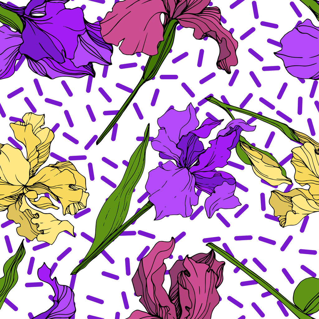 Vector geel, paars en maroon Iris floral botanische bloem. Wild voorjaar blad wildflower geïsoleerd. Gegraveerde inkt art. Naadloze achtergrondpatroon. Structuur behang print textuur. - Vector, afbeelding