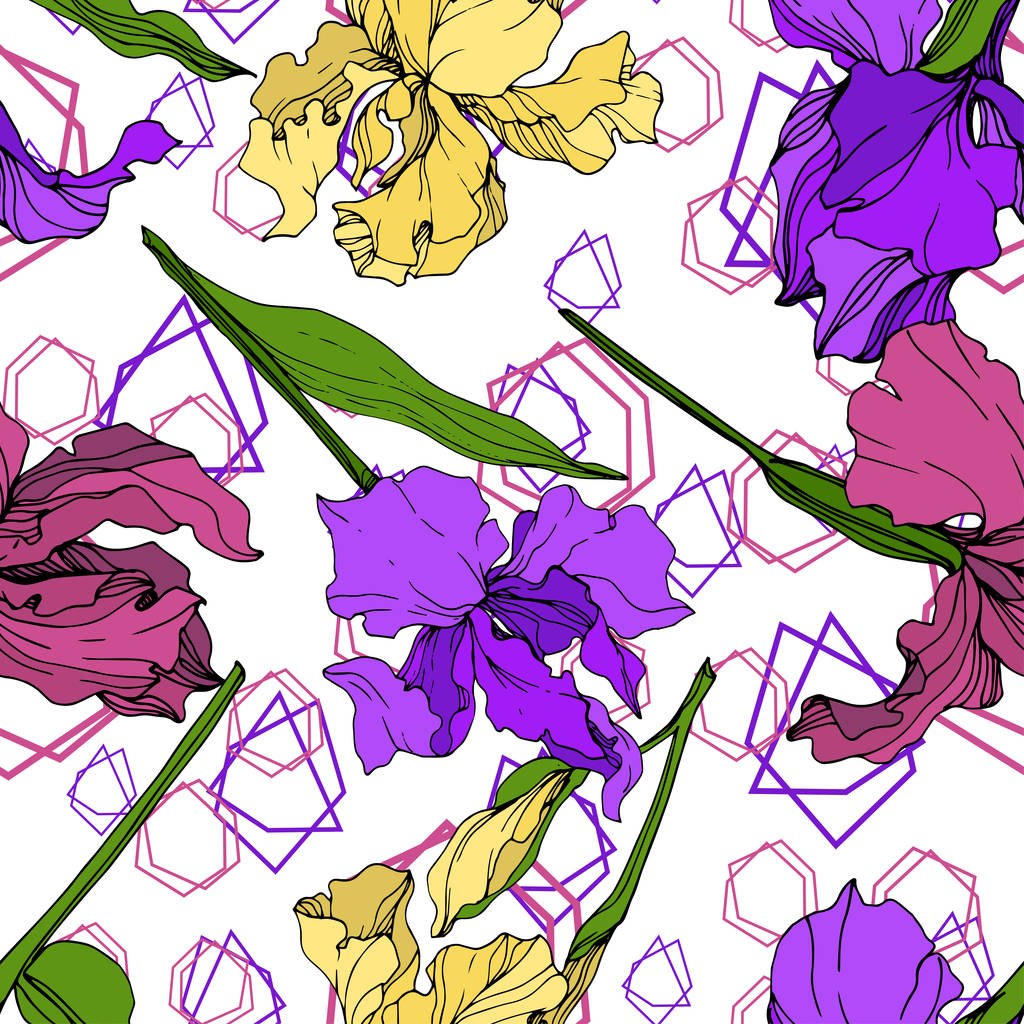 Διάνυσμα κίτρινο, μοβ και βυσσινί floral βοτανικό λουλούδι Ίρις. Άγρια άνοιξη φύλλων wildflower απομονωμένη. Χαραγμένο μελάνι τέχνης. Απρόσκοπτη υπόβαθρο μοτίβο. Ύφασμα ταπετσαρία υφή. - Διάνυσμα, εικόνα
