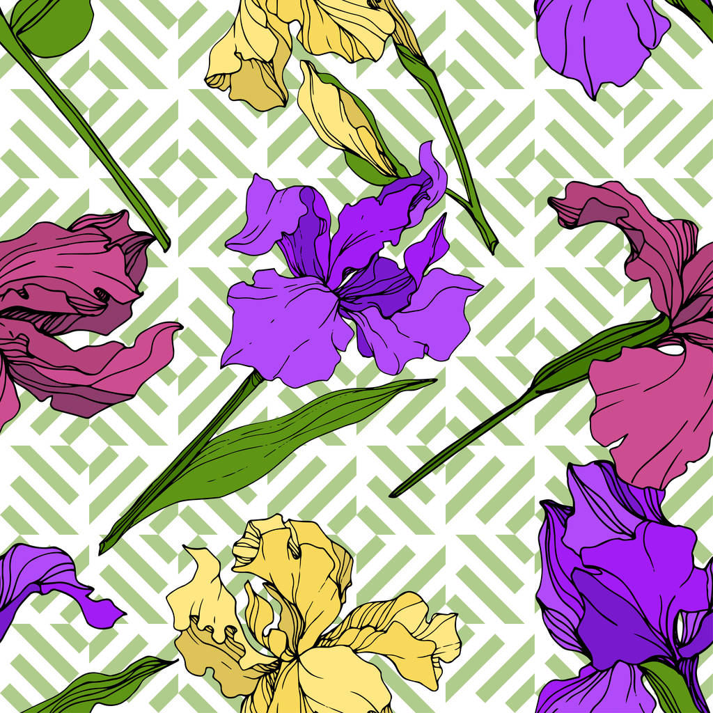 Vector Flor botánica floral Iris amarilla, púrpura y granate. Flor silvestre de hoja de primavera aislada. Arte de tinta grabada. Patrón de fondo sin costuras. Textura de impresión de papel pintado de tela
. - Vector, imagen