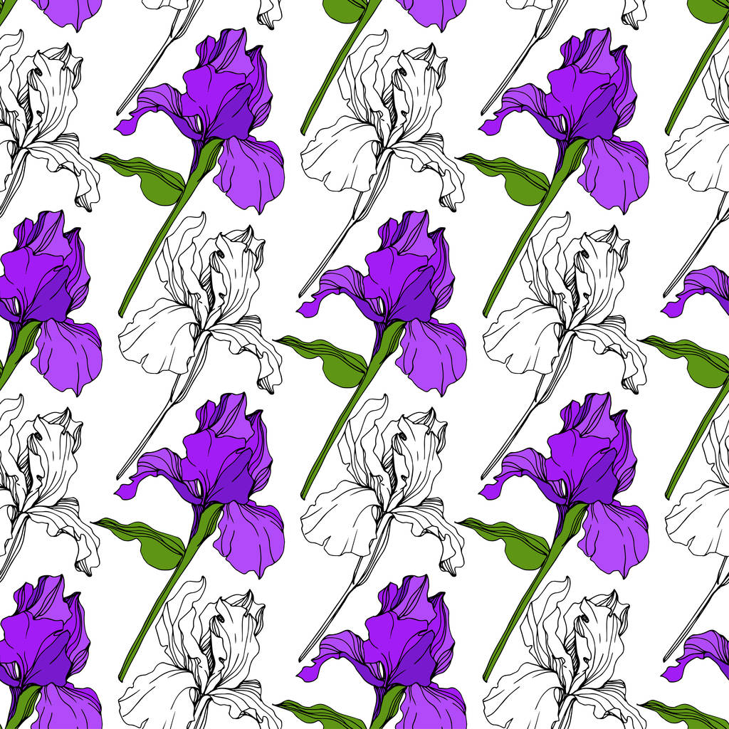 ベクトル紫色のアイリスの花植物花。野生春葉のワイルドフラワーが分離されました。刻まれたインク アート。シームレスな背景パターン。壁紙印刷手触りの生地. - ベクター画像