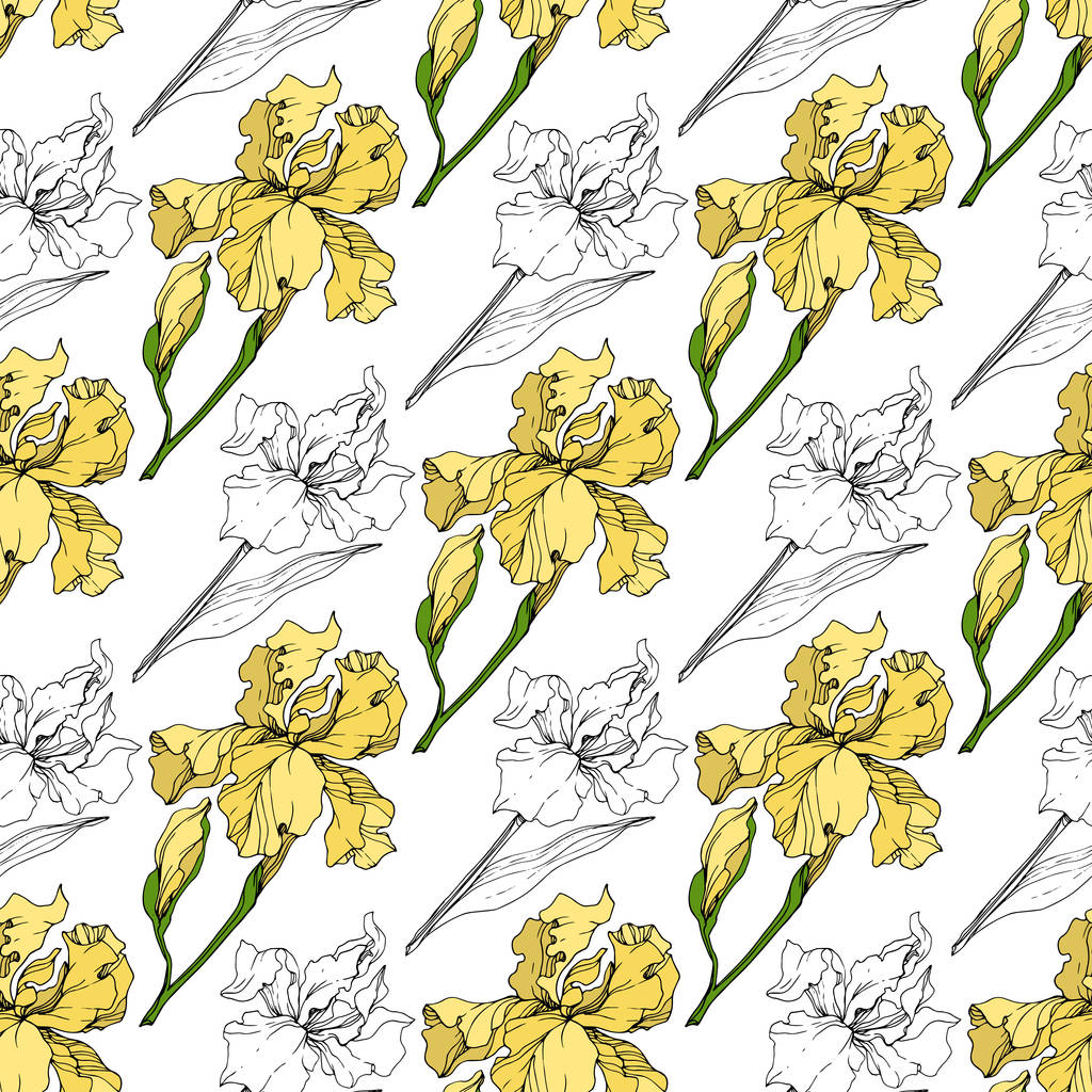 ベクトル黄色アイリスの花植物花。野生春葉のワイルドフラワーが分離されました。刻まれたインク アート。シームレスな背景パターン。壁紙印刷手触りの生地. - ベクター画像