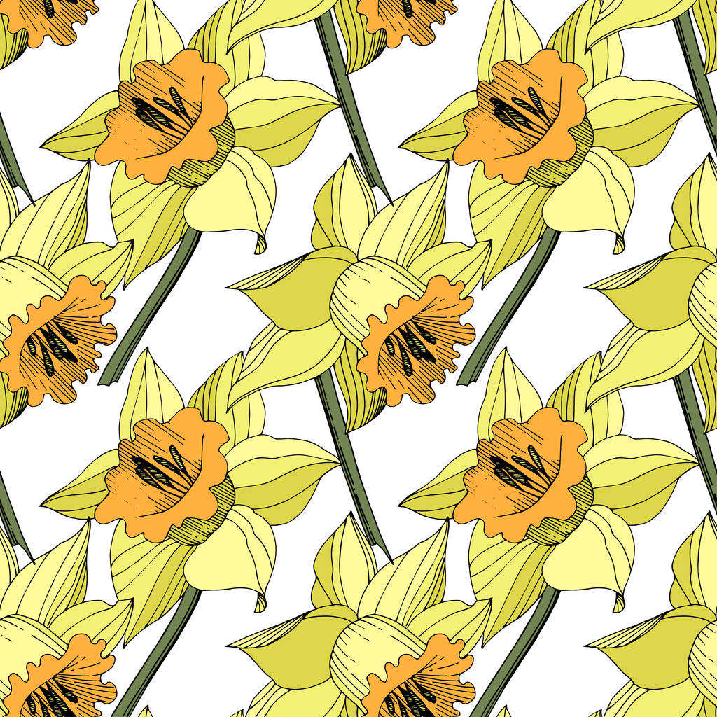 Vektor sárga nárcisz virág botanikai virág. Vad tavaszi levél vadvirág elszigetelt. Vésett tinta art. Varratmentes háttérben minta. Anyagot a nyomtatási textúrát. - Vektor, kép