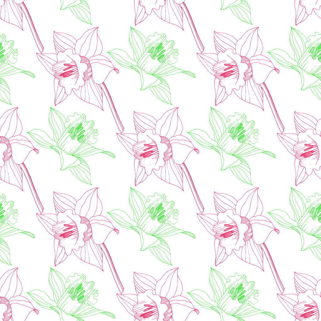 Vetor Narciso flor botânica floral. Folha selvagem primavera wildflower isolado. Arte de tinta gravada rosa e verde. Padrão de fundo sem costura. Tecido papel de parede impressão textura
. - Vetor, Imagem