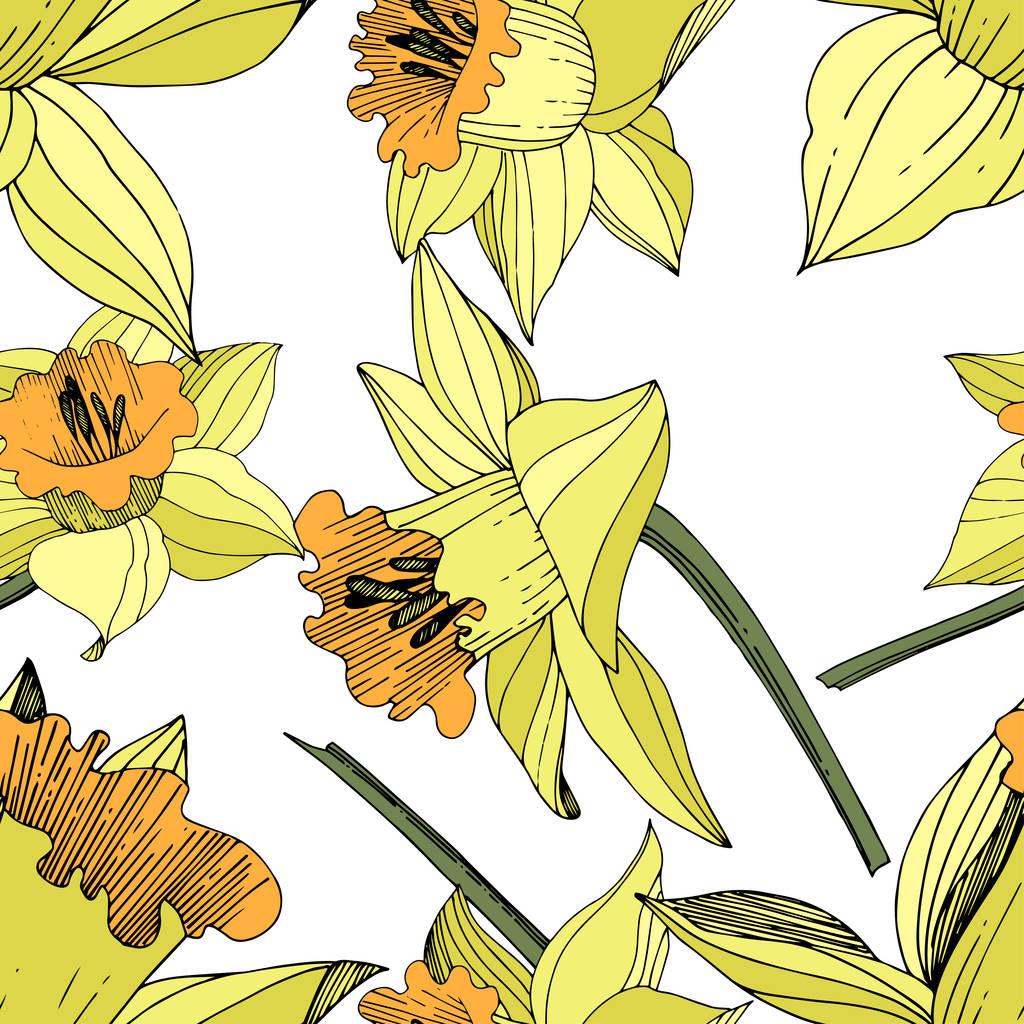 Vektori Keltainen Narcissus kukka kasvitieteellinen kukka. Villi kevään lehti luonnonvarainen kukka eristetty. Kaiverrettua mustetaidetta. Saumaton taustakuvio. Kangas tapetti tulostaa rakenne
. - Vektori, kuva