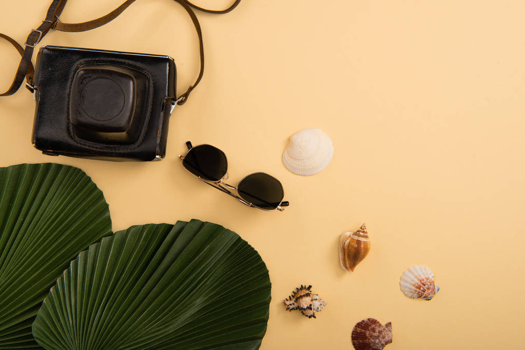 top view of film camera, seashells, palm leaves and sunglasses on beige background - Photo, Image
