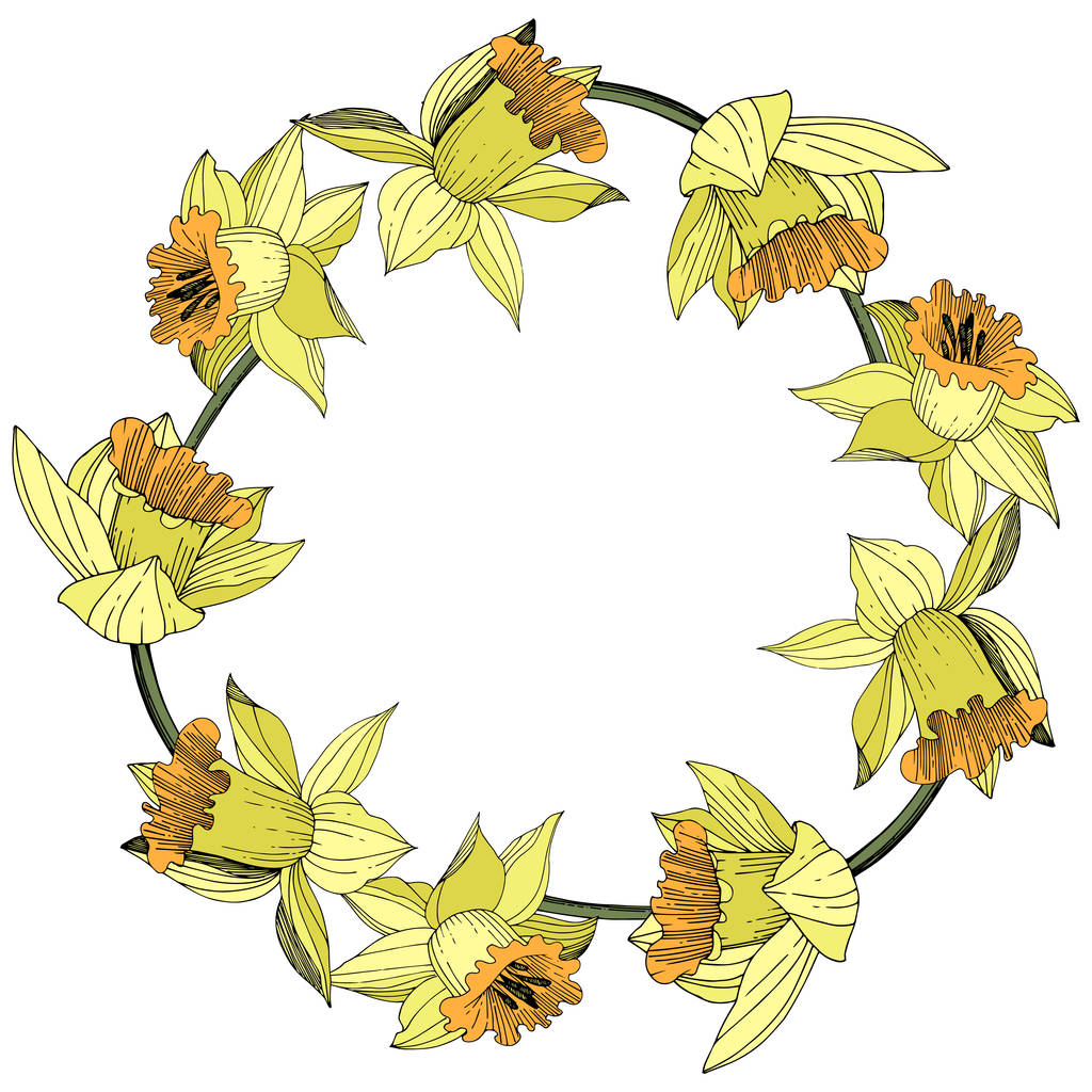 Vektori Keltainen Narcissus kukka kasvitieteellinen kukka. Villi kevään lehti luonnonvarainen kukka eristetty. Kaiverrettua mustetaidetta. Kehyksen raja koriste neliö
. - Vektori, kuva